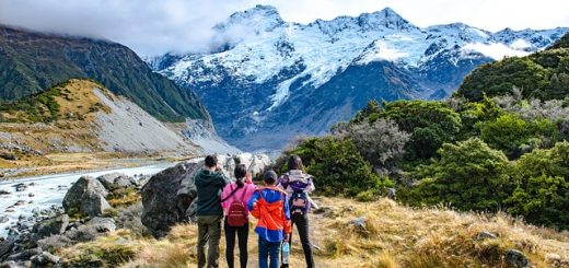 New Zealand Online Visa